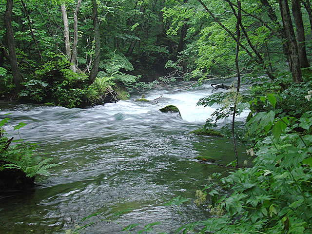 k03